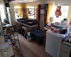 The big slide area; now that the taller sewing machine is moved out, and my piano bench is moved in, it looks cleaner and also gives me a place to sit and play with my birds.