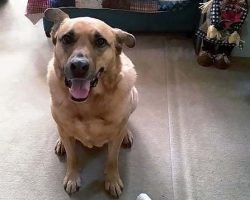 Maisie: And here is where I put my bone!