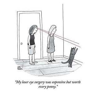 black and white drawing of 2 women and a cat; one woman has lines coming out of her eyes, ending at the wall. The cat is reaching up toward them. Caption: "My laser eye surgery was expensive but worth every penny."