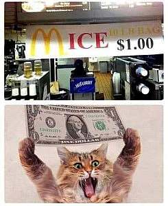 2 frames: top frame shows a sign at McDonald's stating MICE 10 lb bag $1.00; the first M is the golden arches, the rest of the word is a much darker red. The bottom frame shows a jubilant cat holding up a $1 bill.
