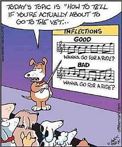 A cartoon dog at the front of a room of dogs watching him; he is pointing with a pointer at a graphic on the wall that says INFLECTIONS at the top, then shows 2 rows of musical notes, the first an ascending scale and the second a mostly descending scale, with the lyrics below each: Wanna go for a ride? Speech bubble over his head says, "Today's topic is "How to tell if you're actually about to go to the vet..."