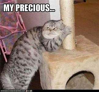 A gray and black cat with ears back, looking sideways toward the camera as he holds his scratching post to the side. Caption: My precious...