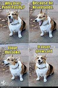 4 frames with a corgi, as if he's talking. 1st caption: Why does Peter Pan fly? 2nd caption: Because he Neverlands. 3rd caption: I love this joke. 4th caption: It never grows old.