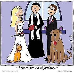 Cartoon of a bride and groom standing at the altar with a priest. A dog is at the groom's side, sitting quietly. A cat is at the bride's side with his front paw raised. Caption: "If there are no objections..."