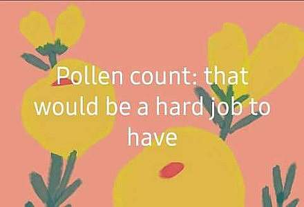 Pink background with yellow flowers, as if painted by a child. Caption: Pollen count: that would be a hard job to have!