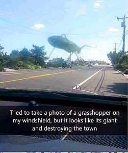 A photo of a massive insect above a city block ahead of a car driving down the road. Caption: Tried to take a photo of a grasshopper on my windshield, but it looks like it's giant and destroying the town.