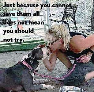 A woman kissing a black and white dog on the nose. Caption: Just because you cannot save them all does not mean you should not try.