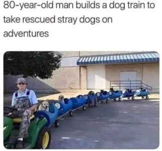 Photo of an older man in camo bibs and hat, sitting on a garden tractor, pulling 8 cars made of big blue buckets behind him; in each of the cars is a dog. Caption: 80-year-old man builds a dog train to take rescued stray dogs on adventures.
