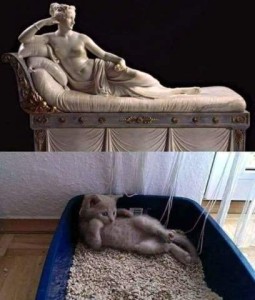 2 frames. Top frame is a photo of a statue of a woman reclining on a chaise. Bottom frame is a photo of a kitten in a litter box, reclining in the exact same position.