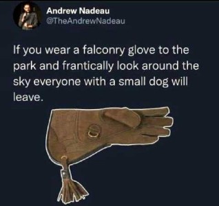 Screenshot of a post by Andrew Nadeau showing a picture of a falconry glove against a dark background. Caption: If you wear a falconry glove to the park and frantically look around the sky everyone with a small do will leave.