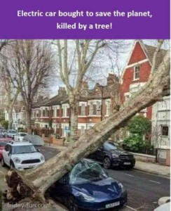 Photo of a huge tree that has fallen onto a small blue car, crushing it. Caption: Electric car bought to save the planet, killed by a tree!