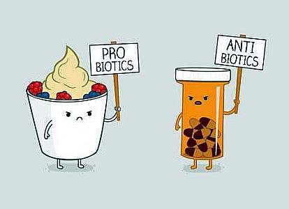 cartoon. on the left is a bowl of yogurt with berries, holding a sign that says Probiotics. On the right is a pill bottle with capsules in it, holding a sign that says Antibiotics. They each have a face and are glaring at each other.