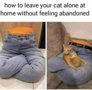 title - how to leave your cat alone at home without feeling abandoned. 2 photos: on the left is a stuffed pair of blue jean, no body, sitting with their legs crossed. On the right is the stuffed jeans on a davenport with a cat sitting on the lap
