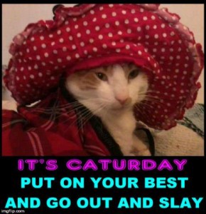 A ginger and white cat wearing a dark red wrap of some sort and a huge dark red hat with white polka dots. Caption: It's caturday. Put on your best and go out and slay.