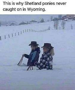 Photo of two women in deep snow to their waists, holding reins. Caption: This is why Shetland ponies never caught on in Wyoming.