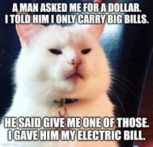 White sarcastic cat, saying, "A man asked me for a dollar. I told him I only carry big bills. He said give me one of those. I gave him my electric bill."