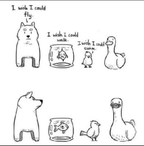4 hand drawn animals in 2 frames: top frame shows a dog saying, "I wish I could fly." Fish in a bowl saying, "I wish I could walk." Bird saying, "I wish I could swim." Duck is silent. 2nd frame shows the dog, fish, and bird all glaring at the duck, who has a silly grin on his face.