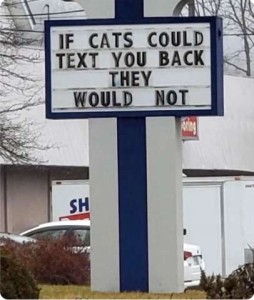 Out door sign: If cats could text you back they would not.