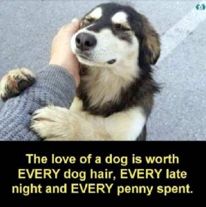 Photo of a black and tan fuzzy dog, his front paws holding onto a man's arm as the man is petting the dog's face; the dog's eyes are half-closed in a look of pure bliss. Caption: The love of a dog is worth EVERY dog hair, EVERY late night, and EVERY penny spent.