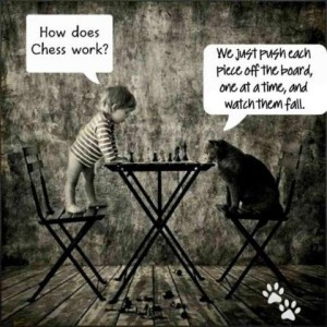 Black and white photo of a toddler standing on a chair to the left; cat sitting in a chair to the right; both are studying a chess board on a table between them. Tot asks, "How does chess work?" Cat replies, "We just push each piece off the board, one at a time, and watch them fall."