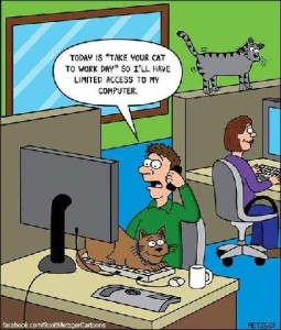 Cartoon picture in an office; one gal working at her computer while a cat looks down at her from the top of her partition. A guy is sitting at his computer, talking on the phone, while a smiling cat is reclined on his keyboard; he is saying, "Today is take your cat to work day so I'll have limited access to my computer"