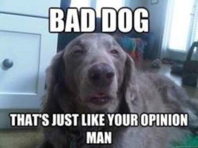 Shows a big dark gray dog, eyes have closed, mouth partially open, laying on the floor. Caption: BAD DOG. That's just, like, your opinion, man.