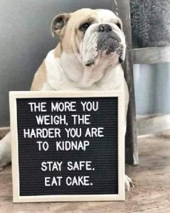 Photo of a bulldog sitting with a sign in front of him, saying The more you weigh, the harder you are to kidnap. Stay Safe. Eat Cake.