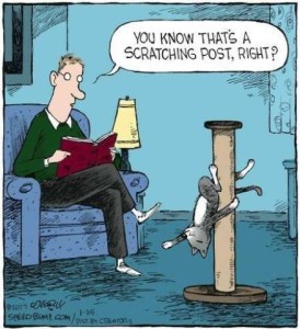 Cartoon of a man sitting in a chair reading a book with a cat upside-down on a post in front of him, in a provocative position. Speech bubble over the man: Yo know that's a scratching post, right?