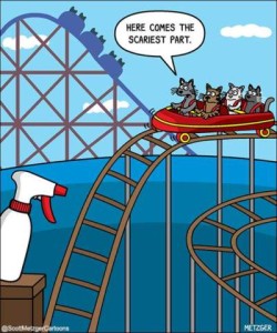 Caption: Here comes the scariest part. A cartoon of 4 cats on a roller coaster, near the top of one of the hills, about to go downhill; a spray bottle sits beside the track halfway down, aimed at the track.