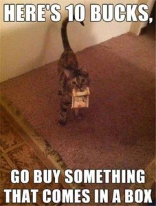 A gray tabby cat holding money in his mouth, looking at the camera. Caption: Here's 10 bucks, go buy something that comes in a box.