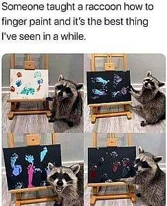 4 frames, each shows a raccoon next to a picture on an easel covered in various paw prints and other markings. Caption: Someone taught a raccoon how to finger paint and it's the best thing I've seen in a while!