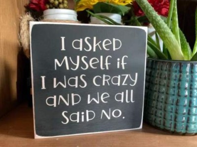 Photo of a little decorative sign sitting on a kitchen counter saying, "I asked myself if I was crazy and we all said no."