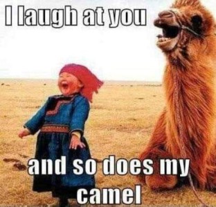 Photo of a small child in a desert of Mongolia, mouth open in a big laugh, with a camel laying next to her with the same open mouth expression. Caption: I laugh at you and so does my camel.