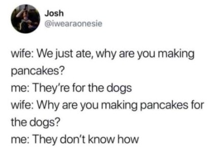 Text dialog. Wife: We just ate, why are you making pancakes? Me: They're for the dogs. Wife: Why are you making pancakes for the dogs? Me: They don't know how.