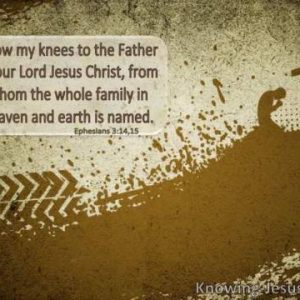 I bow my knees to the Father of our Lord Jesus Christ, from whom the whole family heaven and earth is named. Ephesians 3:14,15 A brown and tan drawing of a man at the top of a hill, on his knees with head bowed, at the foot of a cross.