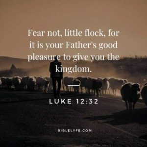 Fear not, little flock, for it is your Father's good pleasure to give you the Kingdom. Luke 12:32 (Biblelyfe.com) Sepia-tone photo of a shepherd walking his sheep down a road