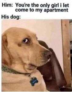 Caption: Him: You're the only girl I let come to my apartment. His dog: A headshot of a light brown dog giving a side glance toward the camera.