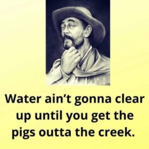Drawing of a man in hat with a neckerchief, scratching his bearded chin thoughtfully. Caption: Water ain't gonna clear up until you get the pigs outta the creek.