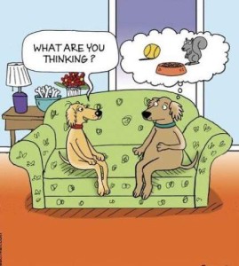 Cartoon of 2 dogs sitting a davenport in a tidy living room. Female is asking the male, "What are you thinking?" Male has a thought bubble containing pictures of a tennis ball, a bowl full of food, and a squirrel.