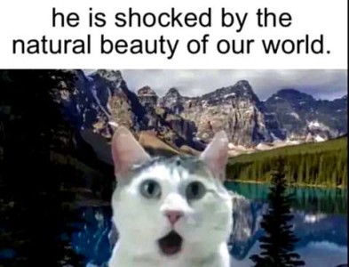 A photo of majestic mountains reflected in calm blue water. A picture of a white and gray cat has been put in the lower center forefront; the cat is wide-eyed with mouth open. Caption: He is shocked by the natural beauty of our world.