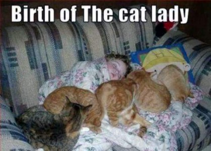 Photo of a toddler sleeping on a loveseat, with 5 cats sleeping around her. Caption - Birth of the cat lady.