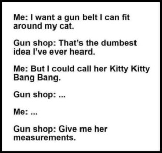 Text only. Me: I want a gun belt I can fit around my cat. Gun shop: That's the dumbest idea I've ever heard. Me. But I could call her Kitty Kitty Bang Bang. Gun shop: ... Me: ... Gun shop: Give me her measurements.