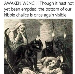 A pencil drawing of 3 black cats holding torches, a woman laying on a bed, with an older woman sitting nearby; by their dress and surroundings it looks like it was hundreds of years ago. One cat is looking down at the sick person, front paws on her body. Caption - AWAKEN WENCH! Though it hast not yet been emptied, the bottom of our kibble chalice is once again visible.