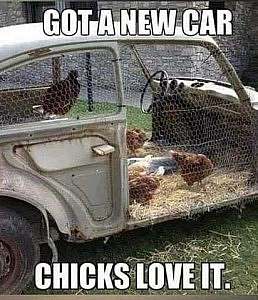Caption: Got a new car. Chicks love it. Pictured: a rusty old car with chicken wire where doors and windows used to be and straw on the floor - no seats - with chickens inside