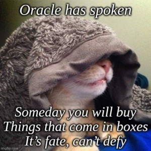 And orange a white cat, close up, with a blanket covering all but his nose and front paws. Caption: Oracle has spoken. Someday you will buy Things that come in boxes. It's fate, can't defy.