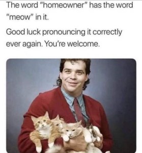 A nerdy looking guy dressed as if from the 70s is holding an armful of kittens. Caption: The word homeowner has the word "meow" in it. Good luck pronouncing it correctly ever again. You're welcome.