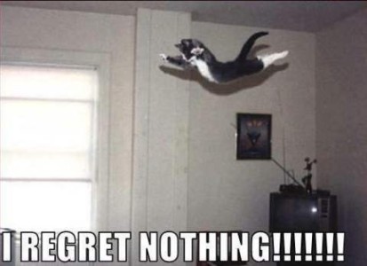 A black and white picture of a cat up in the air, as if flying with all four legs stretched out. Caption: I regret nothing!!!!!!