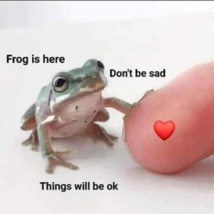 Photo of a fingertip with a little red heart on it. A little frog is sitting next to it, with one front foot on the finger, and it is looking up toward the person's face (not shown). Caption (frog "speaking"): Frog is here. Don't be sad. Things will be ok."