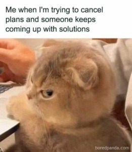 A closeup photo of a kitten giving an annoyed side glance in the direction of the camera. Caption: Me when I'm trying to cancel plans and someone keeps coming up with solutions.