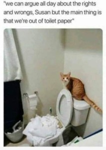 A ginger and white cat sitting on a toilet tank while the bowl is full of unrolled toilet paper; the roll on the wall next to it is pretty much empty. Cat is looking directly at the camera. Caption: "We can argue all day about the rights and wrongs, Susan, but the main this that we're out of toilet paper."